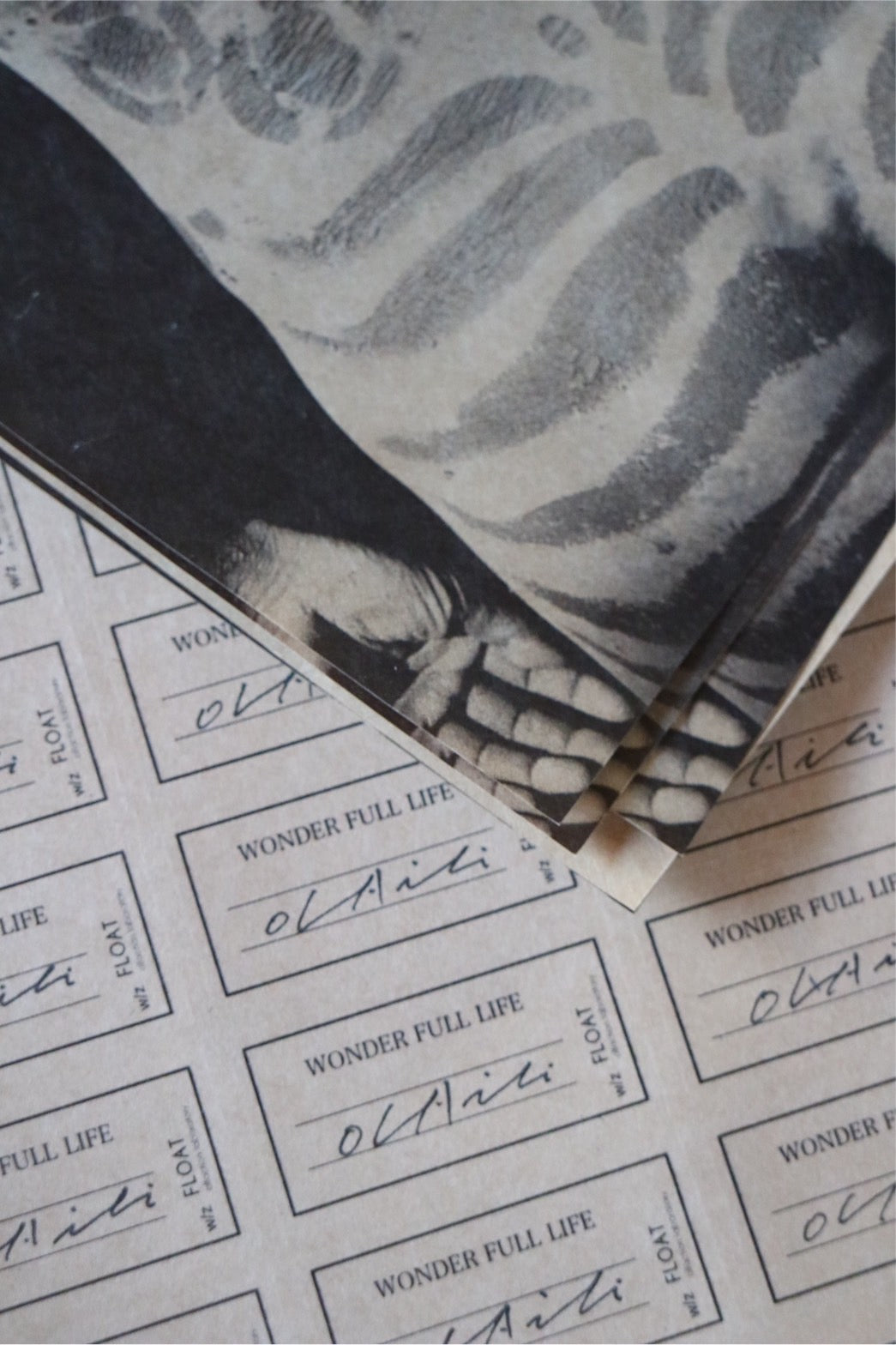 OLAibi FRAGRANCE     made by FLOAT