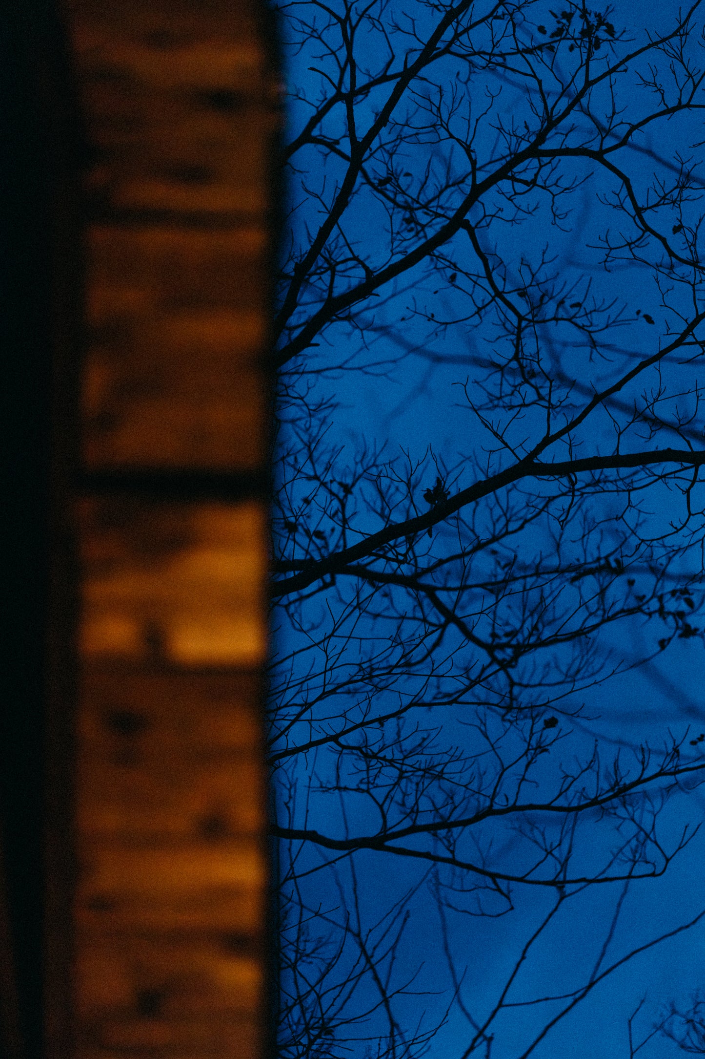 ANAN COFFEE / コーヒー豆100g